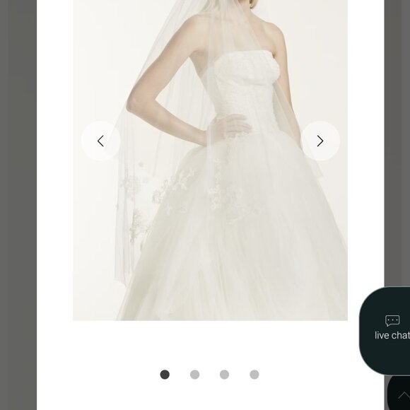 Ivory Two-Tier Walking Length Veil with Lace Appliques STYLE# VW370144 - Picture 1 of 13